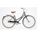 Step-Through Serious Arroyo 3 Speed Bicycle (45 Cm)